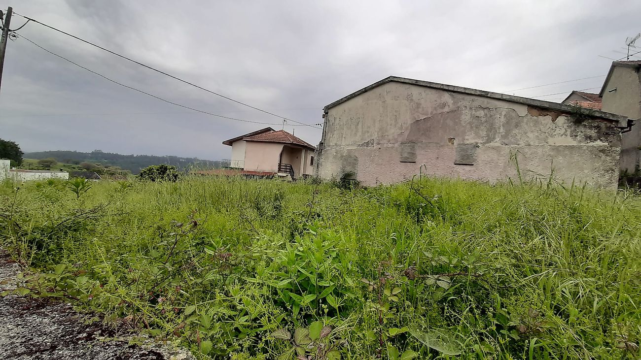 listing 126061084-20 picture-0