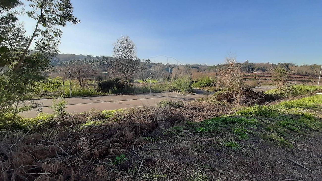 listing 126061084-69 picture-0