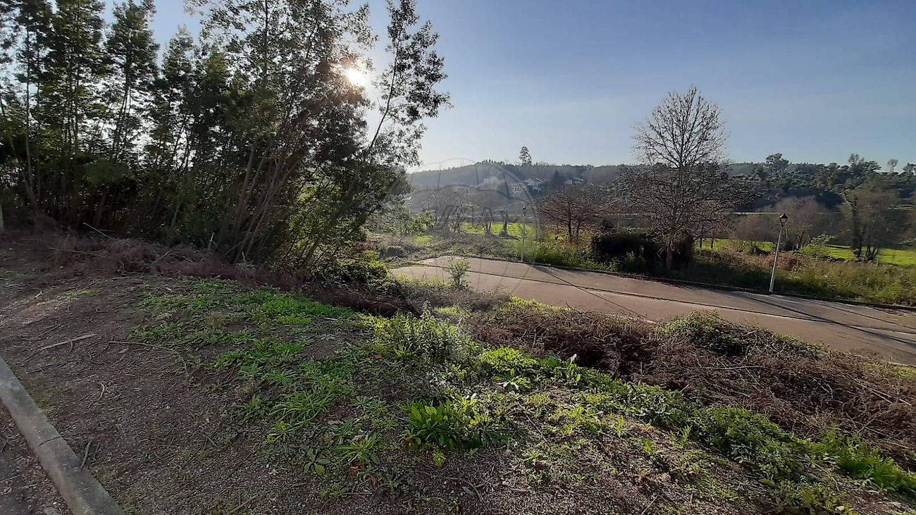 listing 126061084-69 picture-0