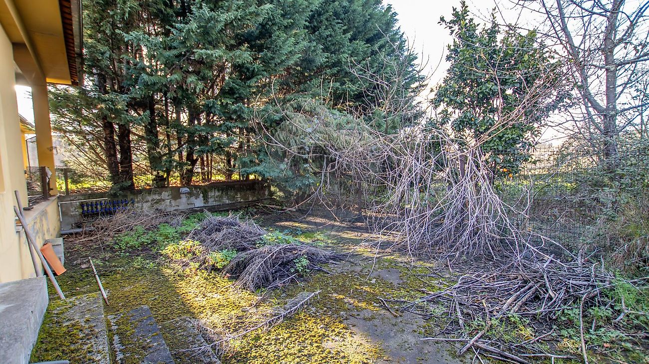 listing 126061079-1 picture-0