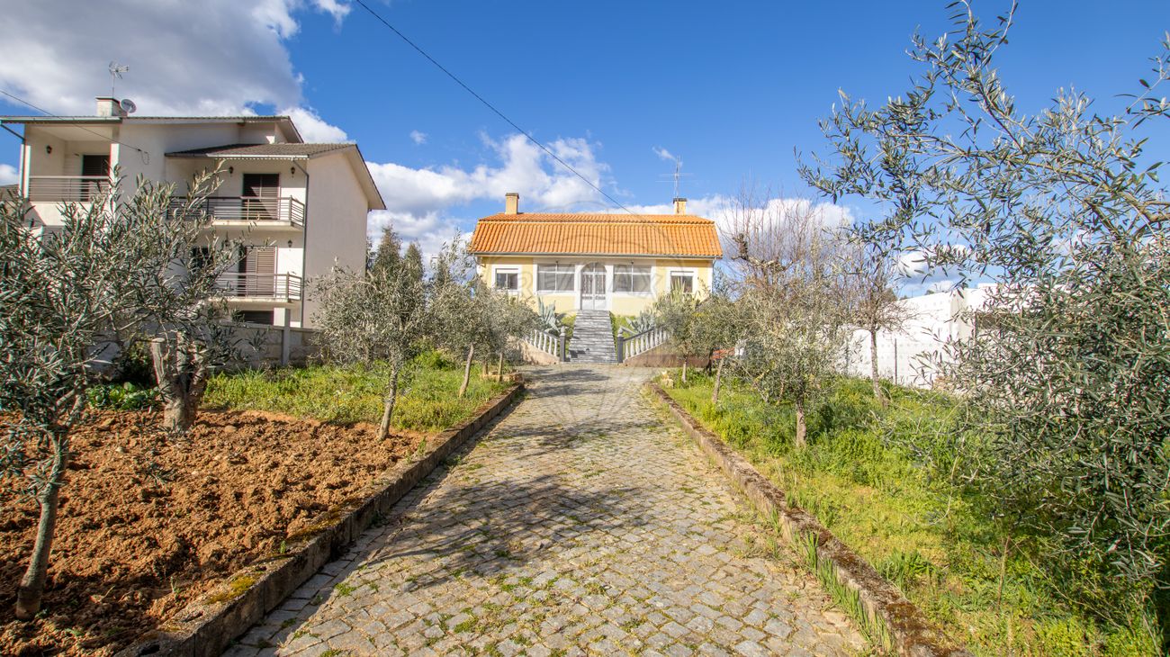 listing 126061055-55 picture-0