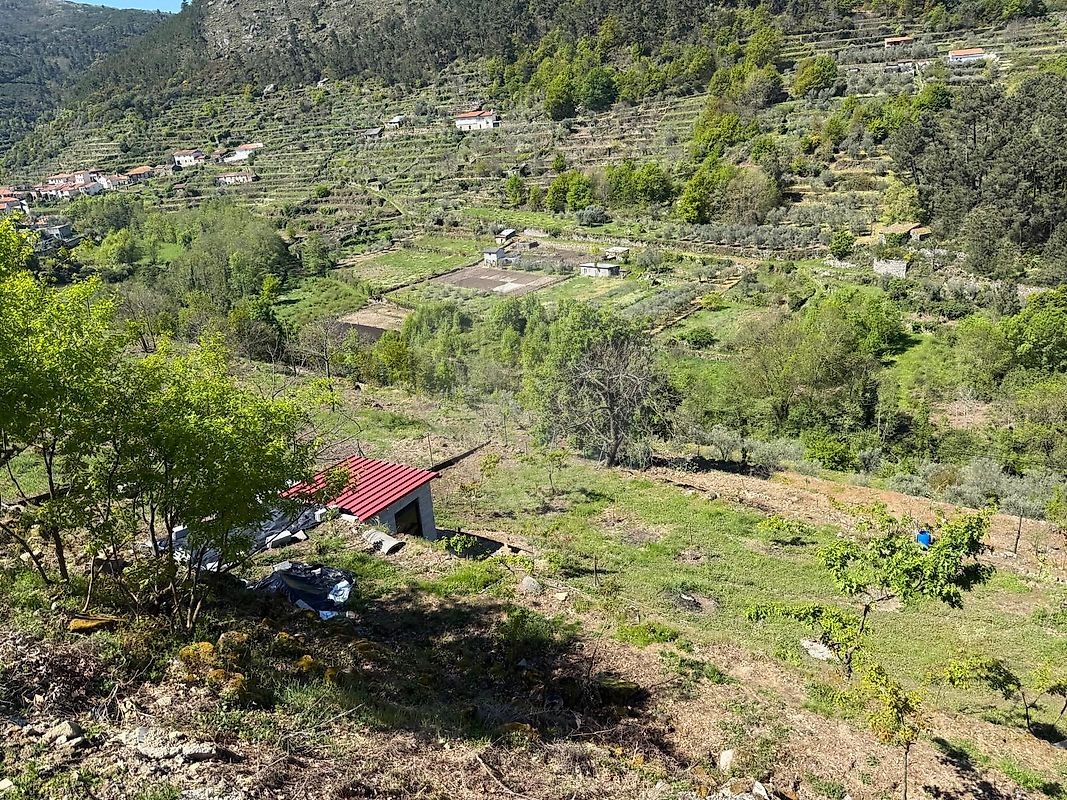 Terreno  para venda