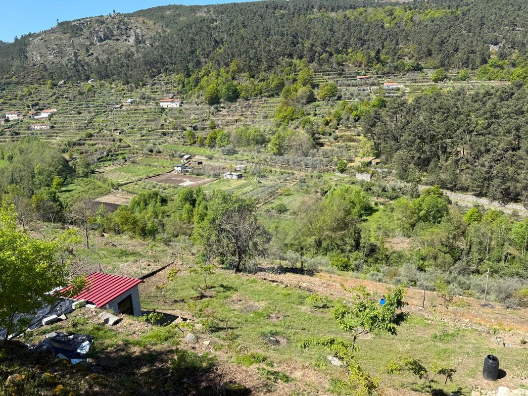 TODO