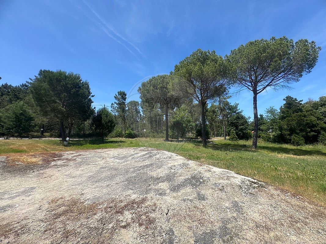 Land for sale in Viseu, Portugal — €110,000