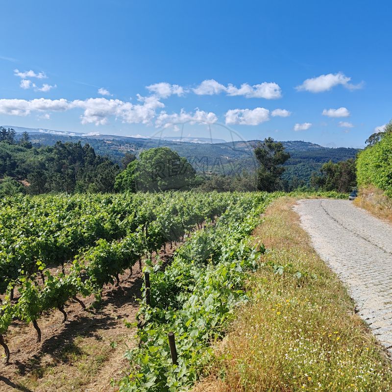 Terreno  para venda