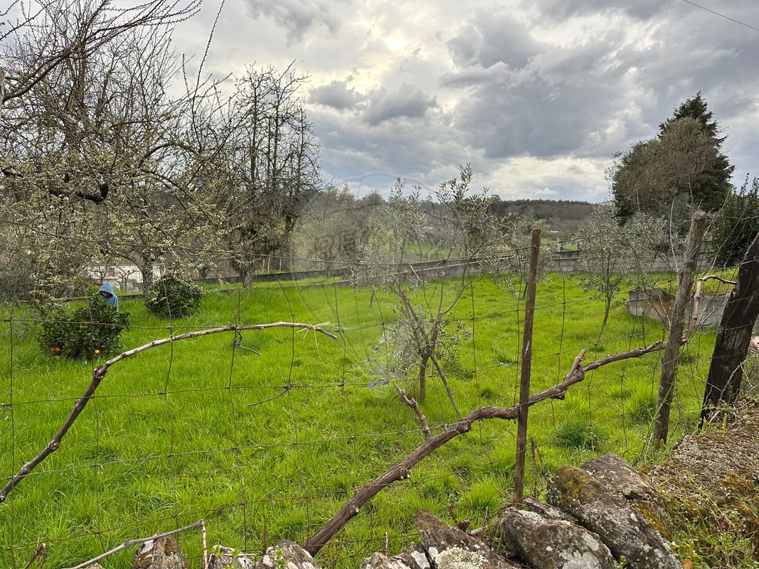 Terreno  para venda