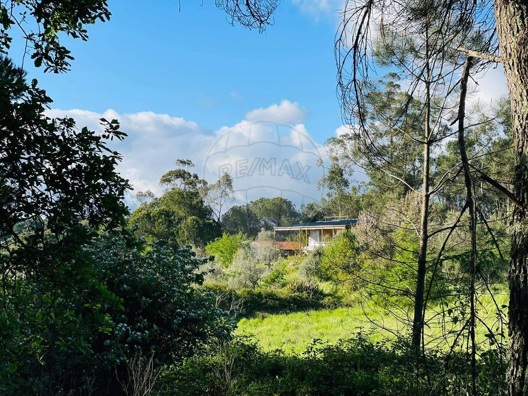 Terreno  para venda