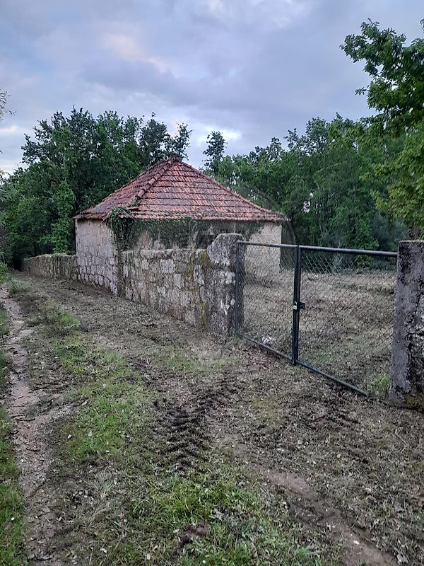 Terreno - São João de Areias, Santa Comba Dão, Viseu