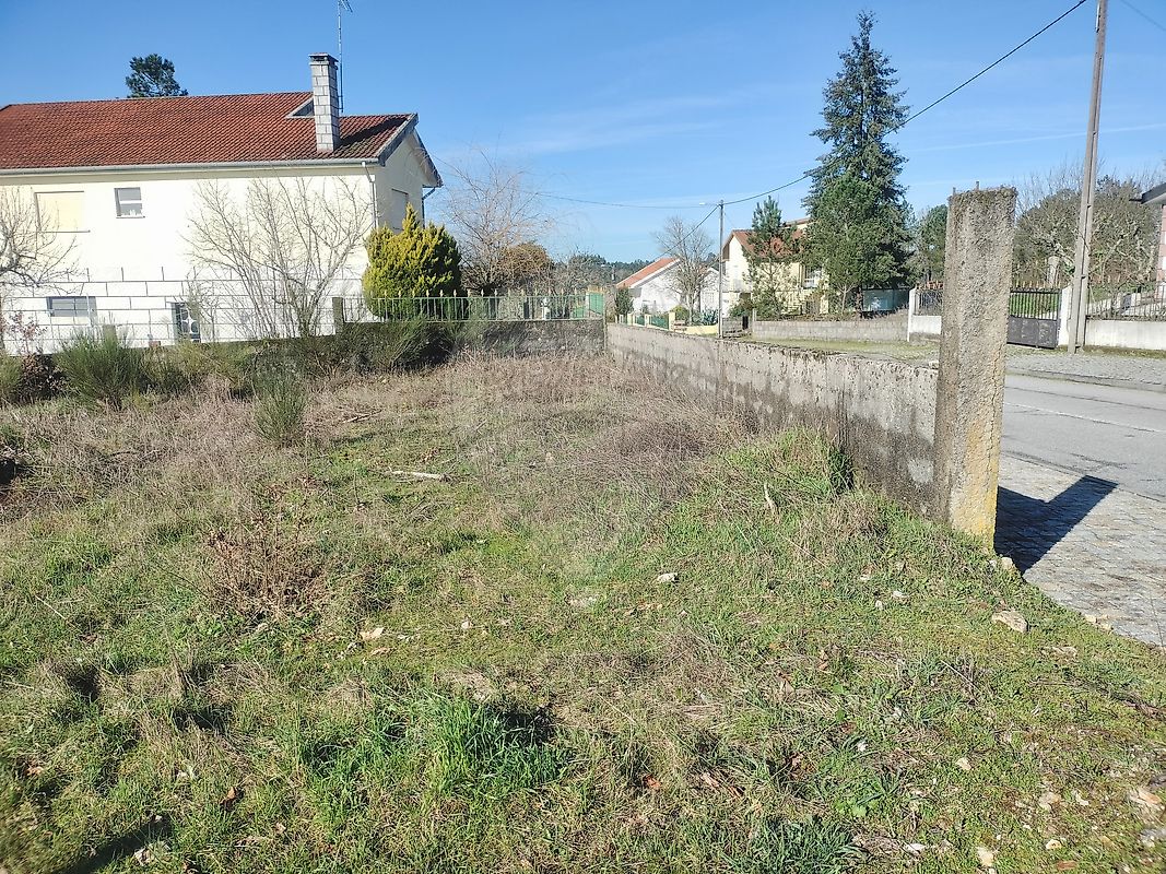 Terreno - Peva e Segões, Moimenta da Beira, Viseu