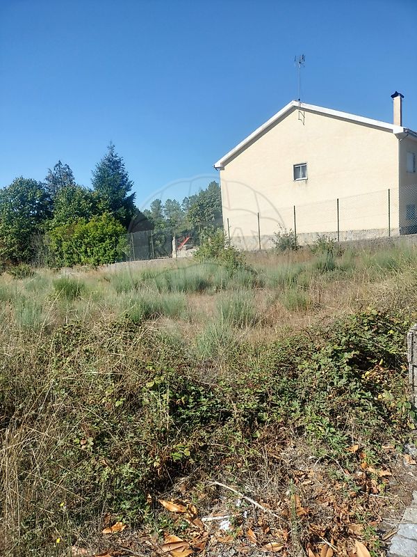 Terreno - Peva e Segões, Moimenta da Beira, Viseu