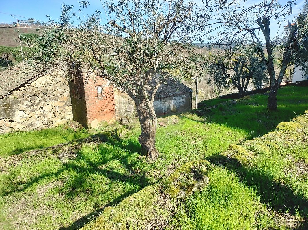 Moradia T2 à venda em Alcafache, Mangualde — foto 14