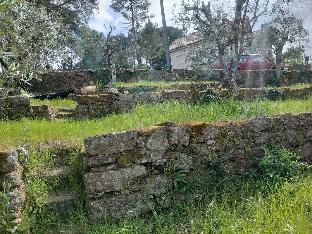 Moradia T2 à venda em Alcafache, Mangualde — foto 20