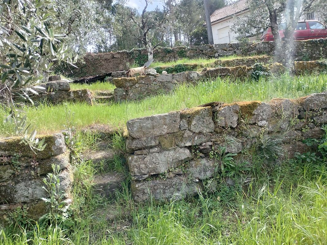Moradia T2 à venda em Alcafache, Mangualde — foto 21