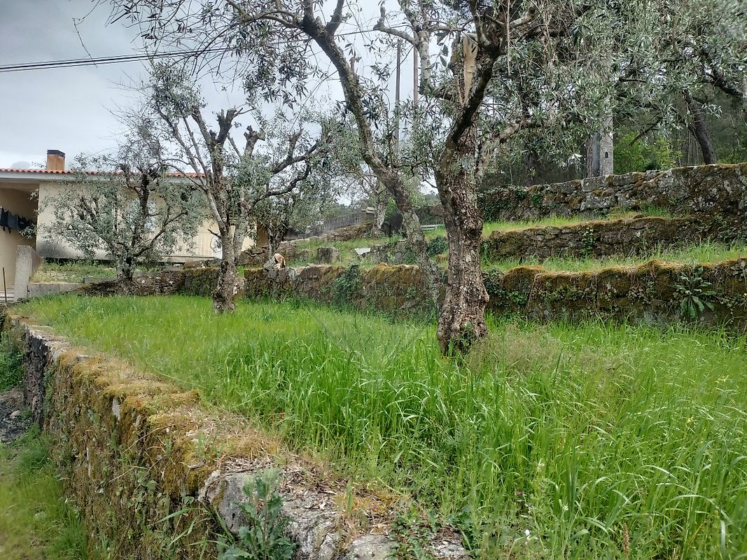 Moradia T2 à venda em Alcafache, Mangualde — foto 18