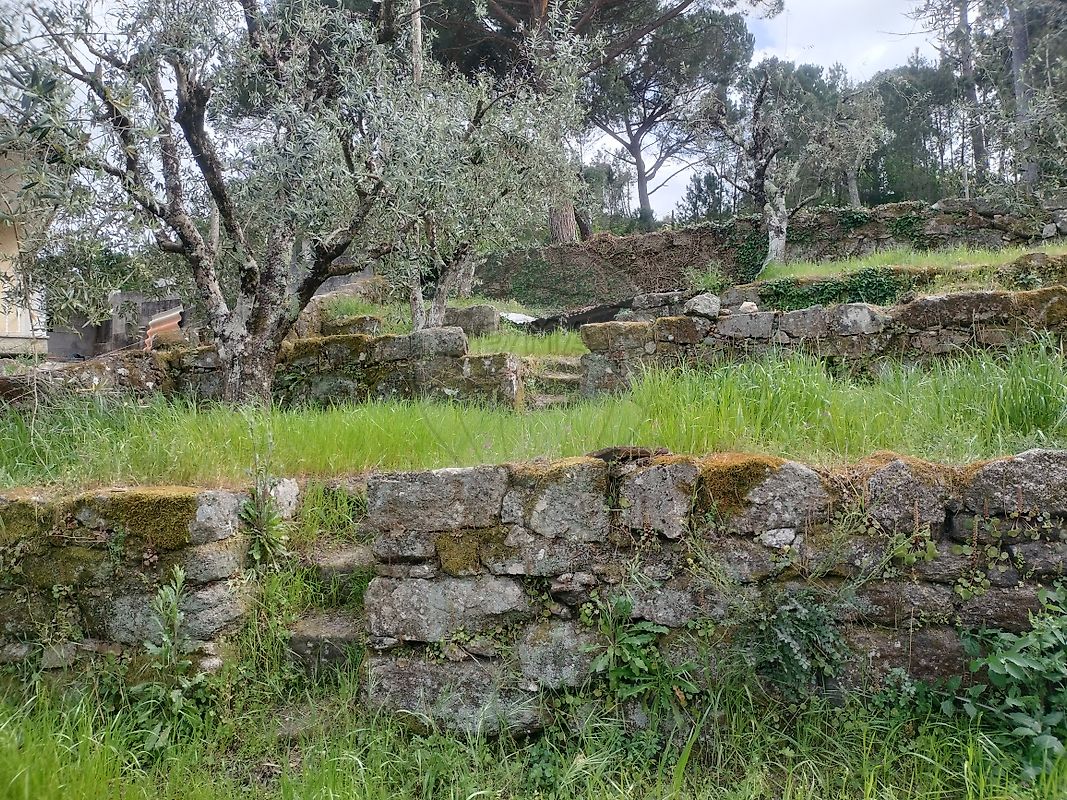 Moradia T2 à venda em Alcafache, Mangualde — foto 22