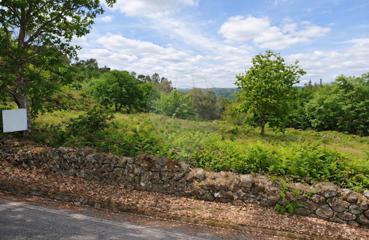 Quinta - Alcafache, Mangualde, Viseu