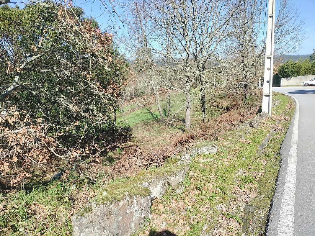 Quinta - Alcafache, Mangualde, Viseu