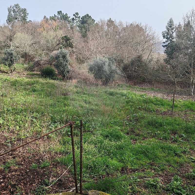 Terreno - Queirã, Vouzela, Viseu
