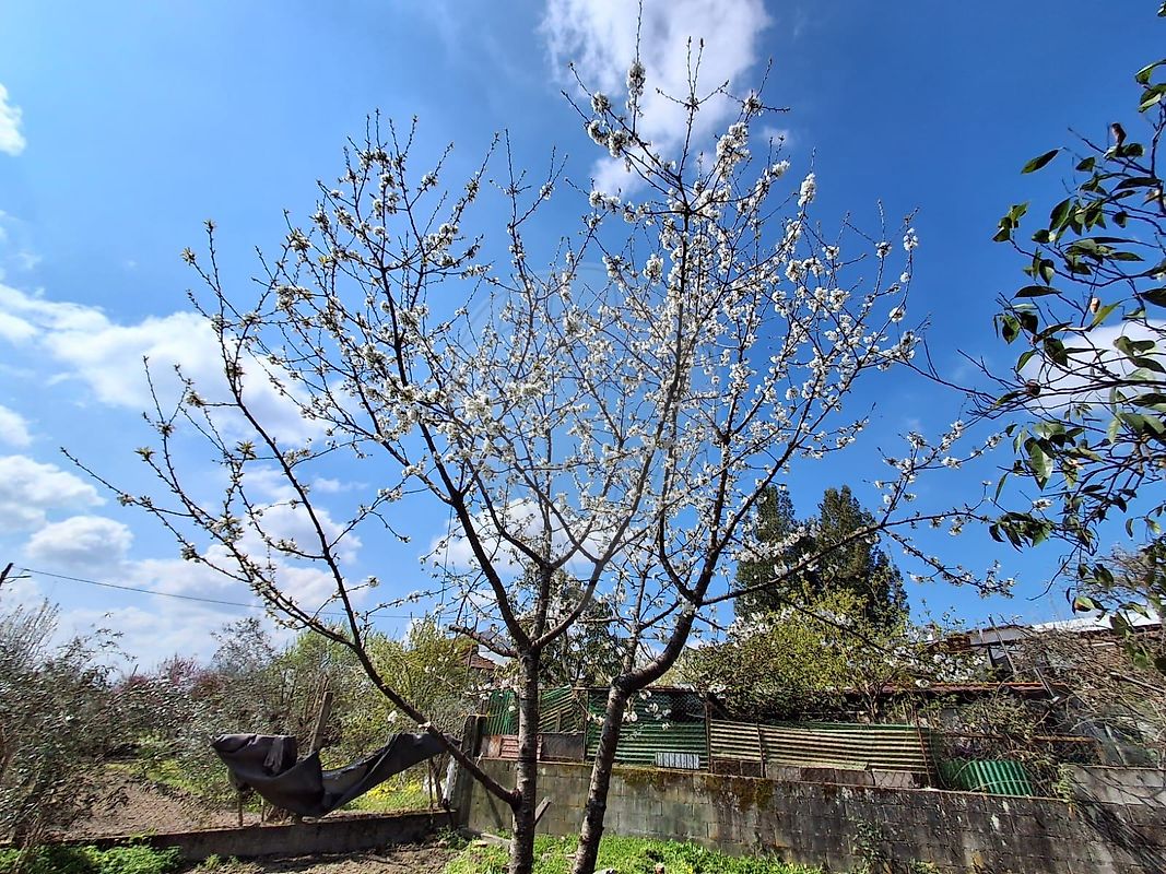 Moradia T5 à venda em Carvalhal Redondo e Aguieira, Nelas — foto 22