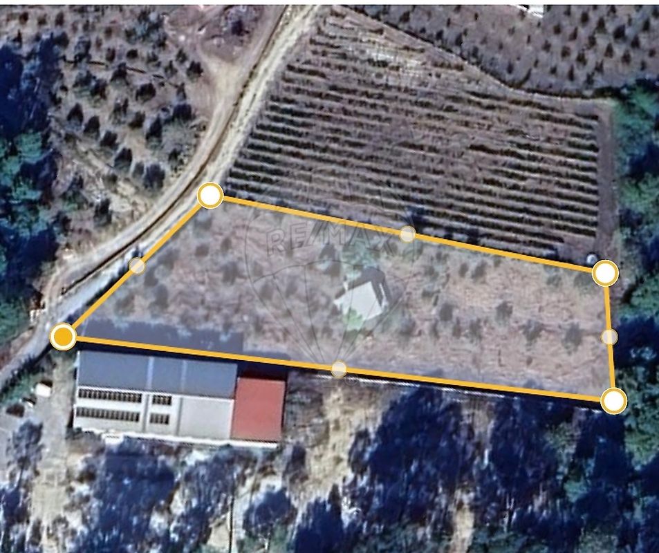 Terreno - Silgueiros, Viseu, Viseu