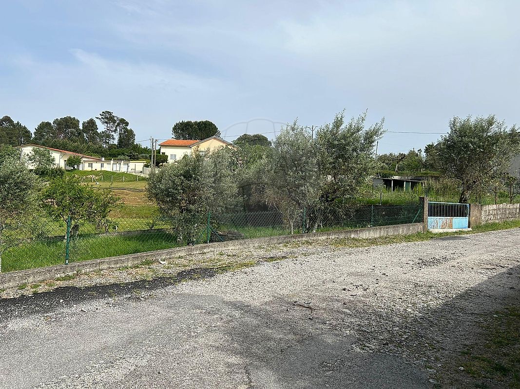 Terreno - Santiago de Cassurrães e Póvoa de Cervães, Mangualde, Viseu