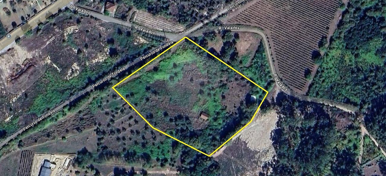 Terreno - São Miguel do Outeiro e Sabugosa, Tondela, Viseu