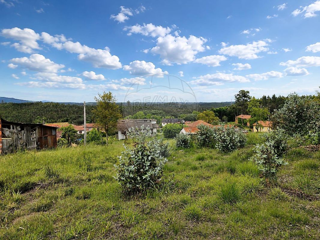 Terreno - Barreiro de Besteiros e Tourigo, Tondela, Viseu