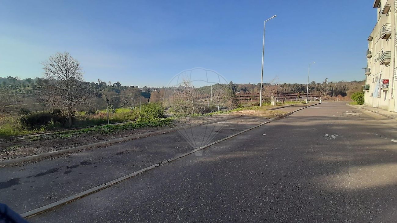 Terreno para arrendar em Santa Comba Dão
