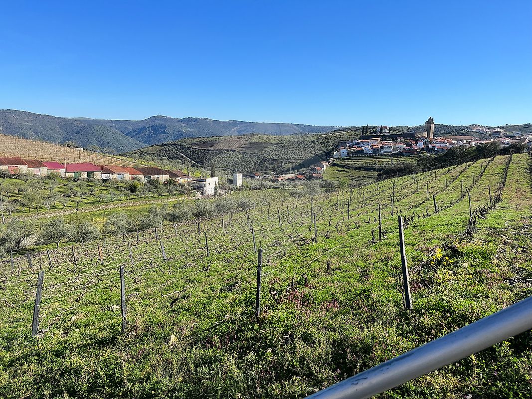 Quinta para venda