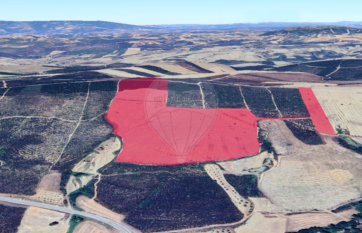 Terreno  para venda