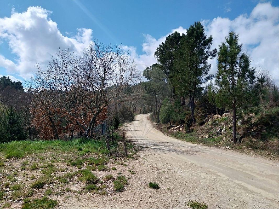 Terreno para venda