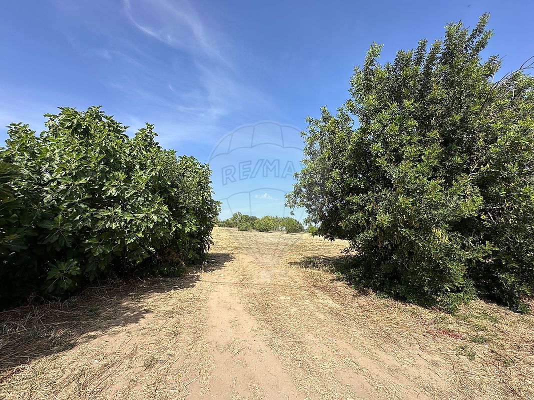 Terreno - Luz de Tavira e Santo Estêvão, Tavira, Faro
