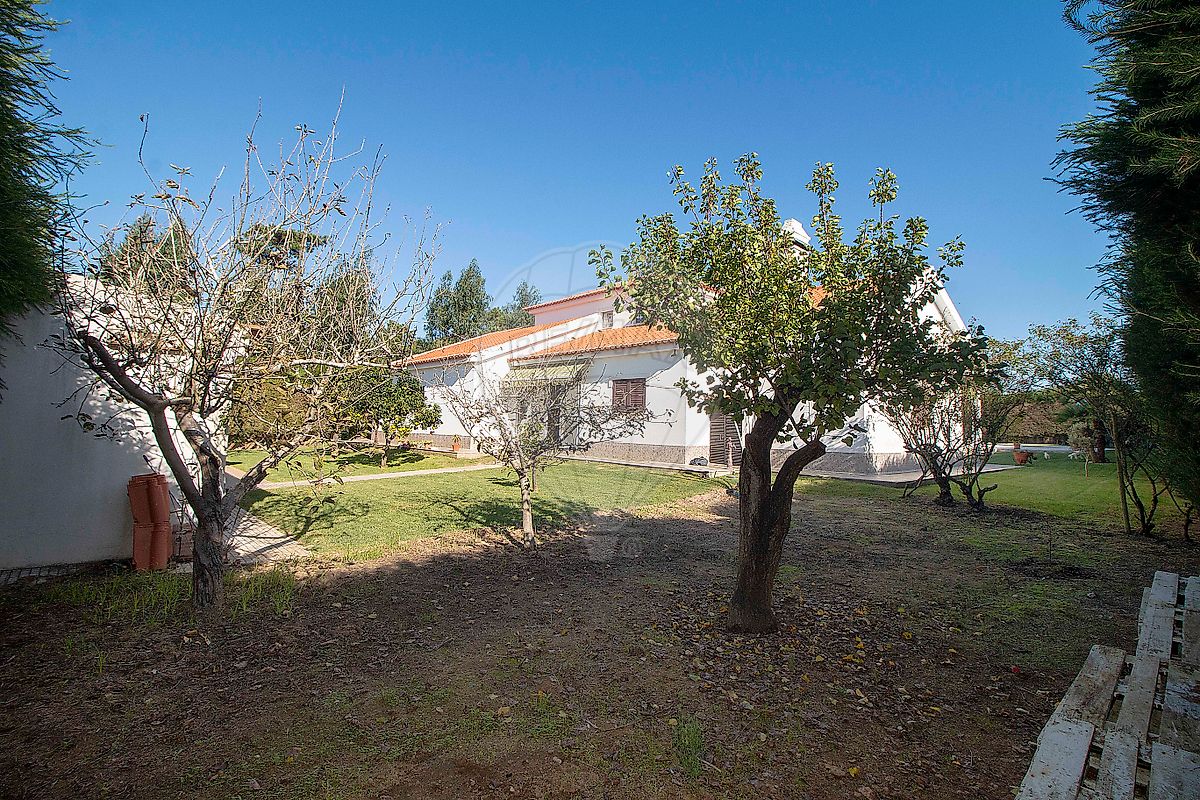 listing 126101048-14 picture-0