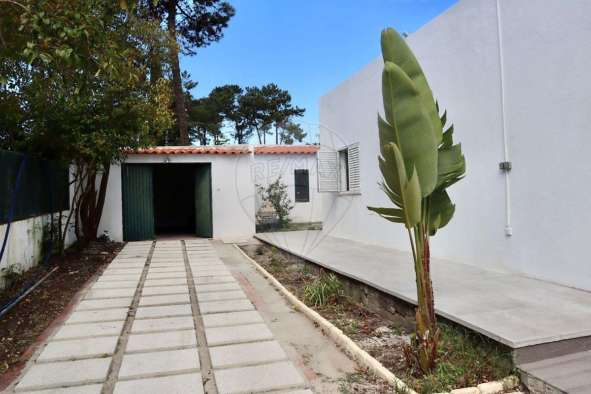 listing 126101007-38 picture-0