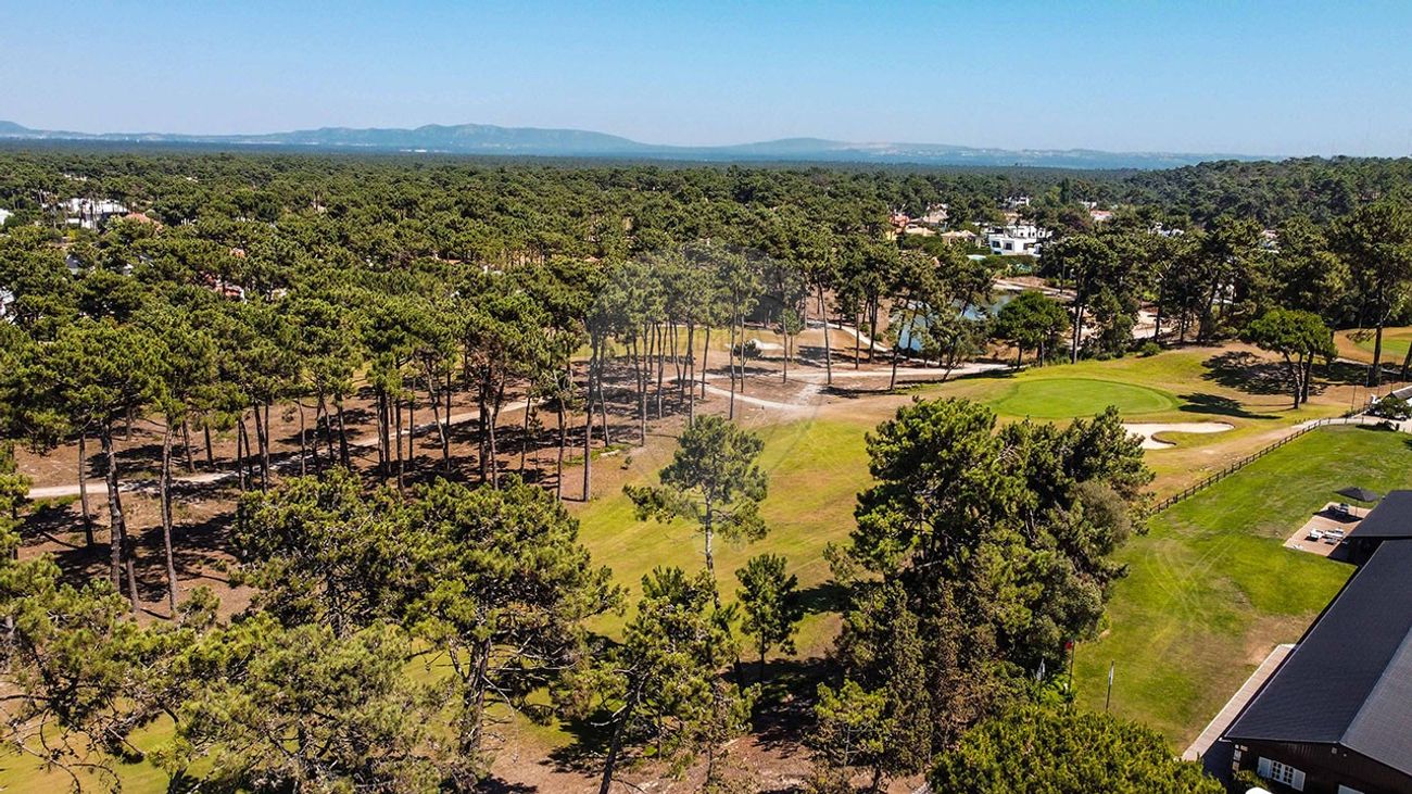 listing 126101007-42 picture-0