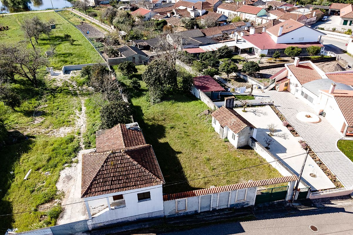 Terreno - Febres, Cantanhede, Coimbra