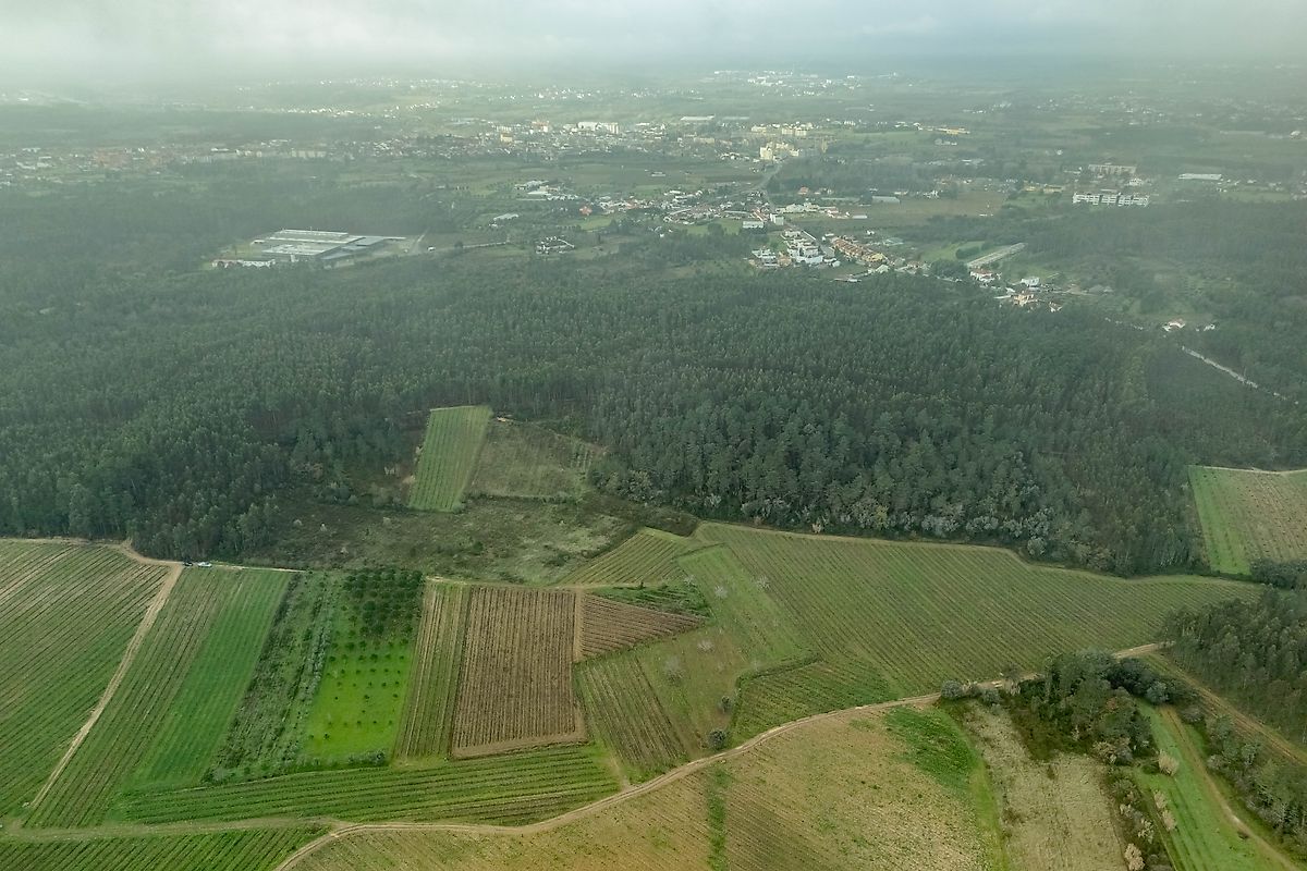 Terreno  à venda em Mealhada