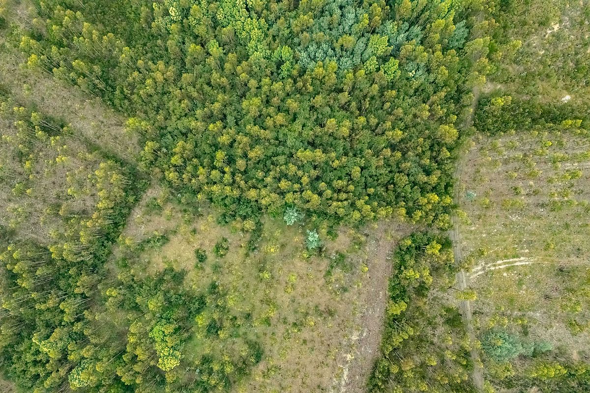 Terreno à venda em Mira