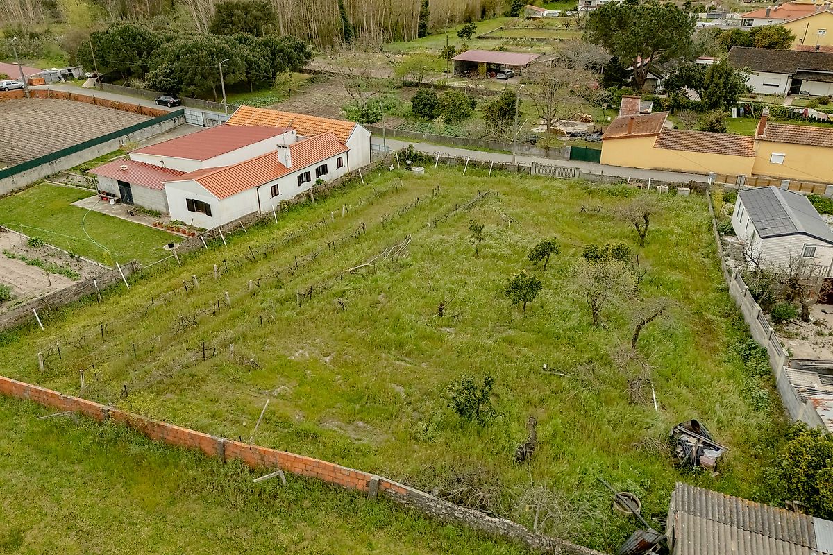 Terreno - Mira, Mira, Coimbra