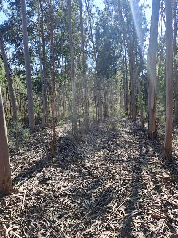 Terreno para venda