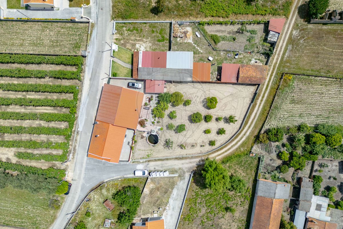 listing 126111027-33 picture-0