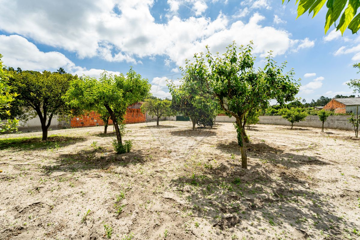 listing 126111027-33 picture-0