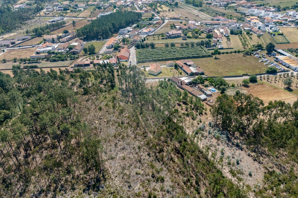 TODO