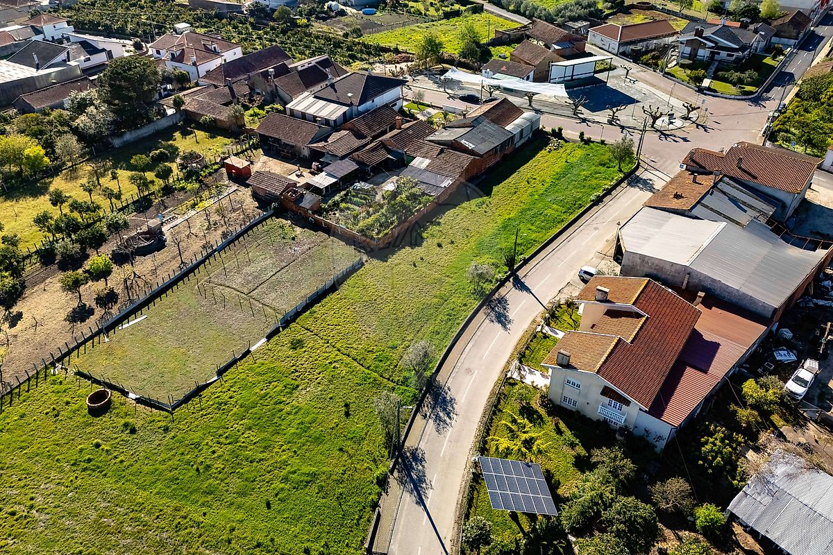 Terreno - Covões e Camarneira, Cantanhede, Coimbra