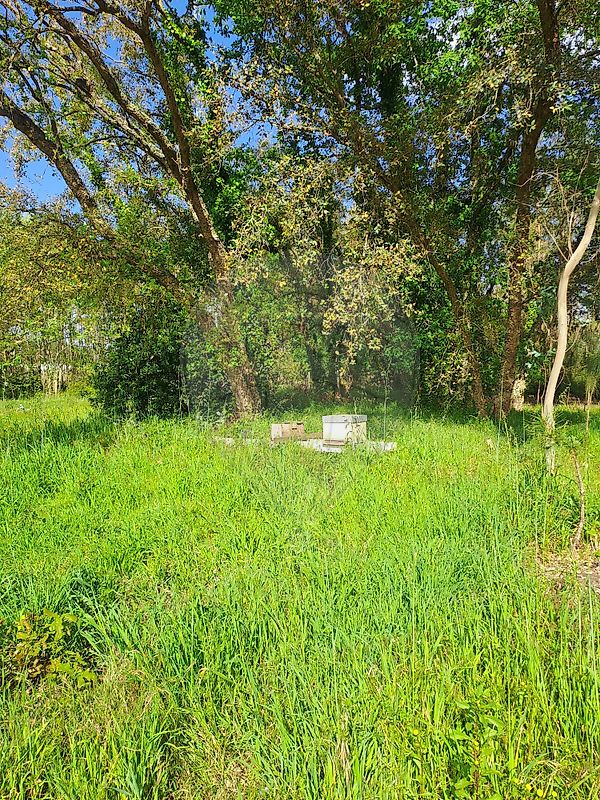 Terreno à venda em Anadia