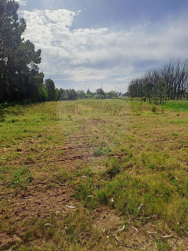 Terreno à venda em Anadia
