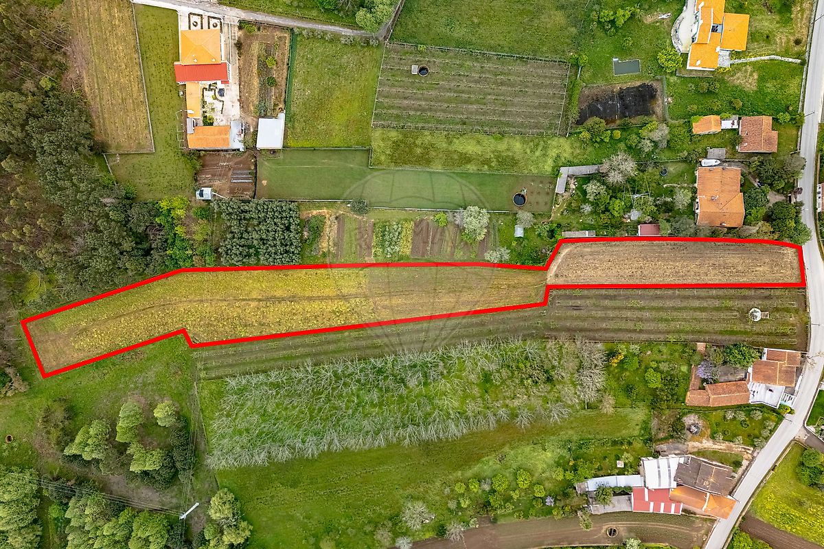Terreno - Vilarinho do Bairro, Anadia, Aveiro