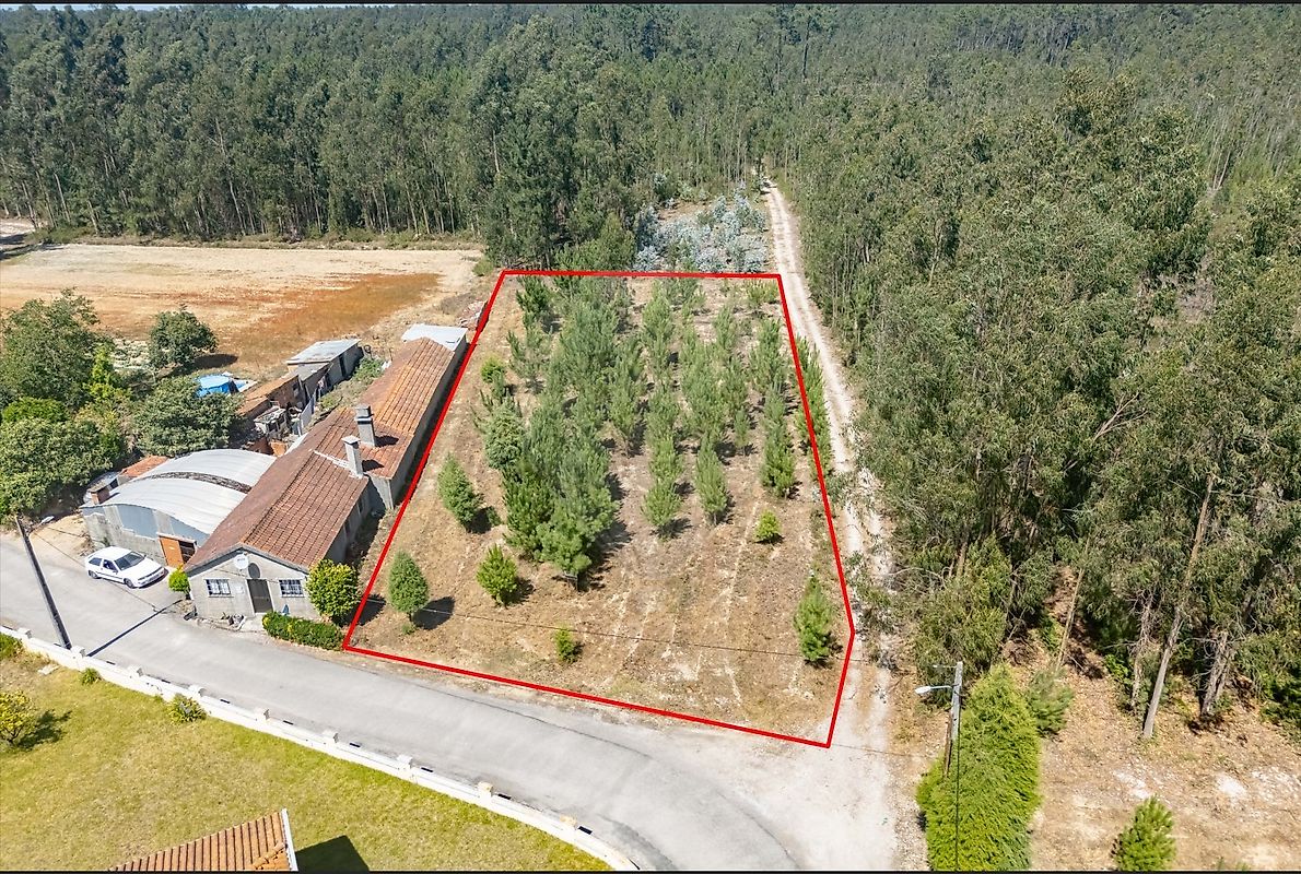 Terreno - Covões e Camarneira, Cantanhede, Coimbra