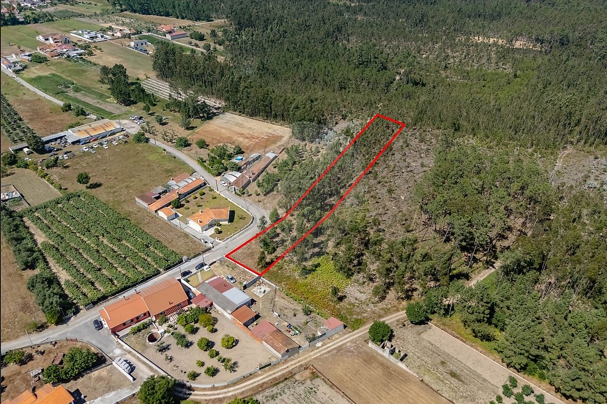 Terreno - Covões e Camarneira, Cantanhede, Coimbra