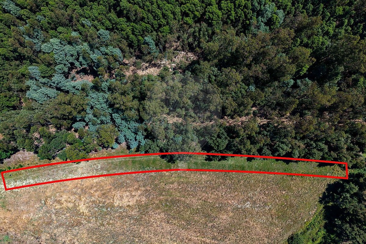 Terreno - Mira, Mira, Coimbra